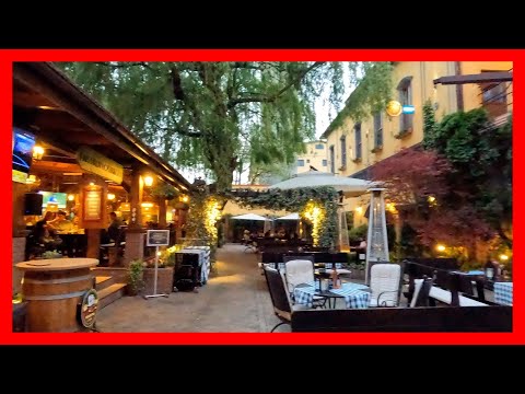 Locul in care poti manca carne de Cerb, Cangur sau Crocodil! - Mocanitar prin Lume