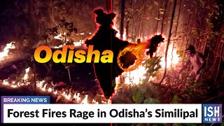 Forest Fires Rage in Odisha’s Similipal