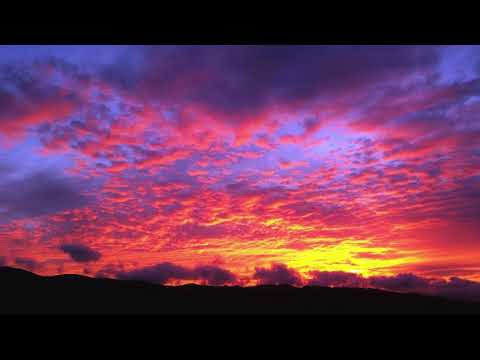 all i want - kodaline (cover by Nina Fercher)