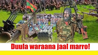 Download lagu Duula waraana jaal marro! mp3