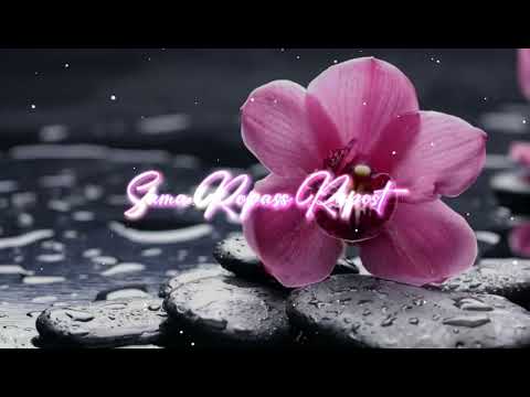 Dj Skyla Ft Ronisia Sem Bo (REMIX 2024)