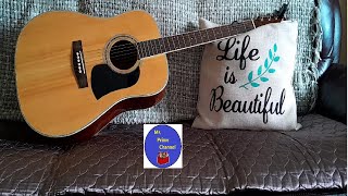 Gypsy, Joe and Me - Dolly Parton requested cover #songs #coversong #guitar