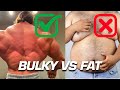 Bulky vs Fat