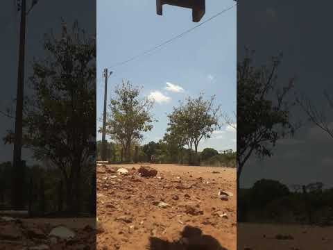 rei do grau do Axixá Maranhão