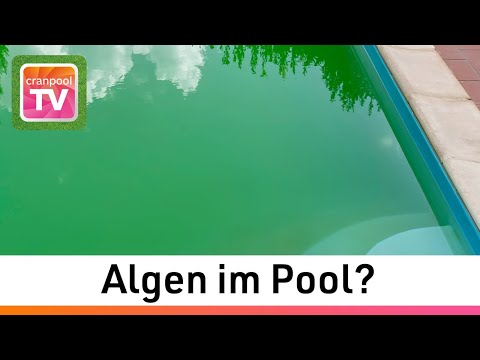 Sauerstoff-Schockchlor hilft sofort!