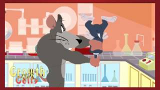 Video Fairly oddparents on the beach (Beach Bummed)