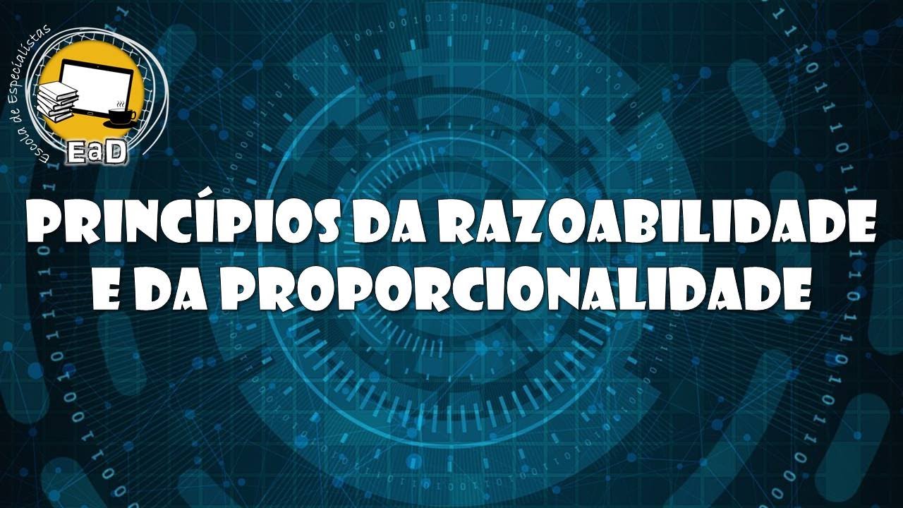 14 - Princípios da Razoabilidade e da Proporcionalidade