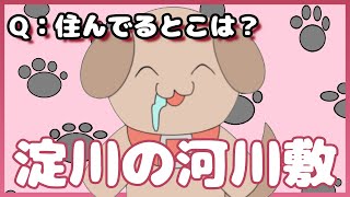 【質問】出身はどこですか？【わんこ犬/Vtuber】