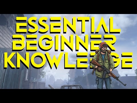 Understanding DayZ: Essential Knowledge for Beginners