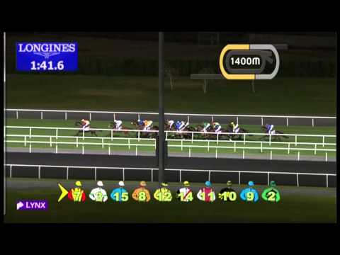 07.02.2013 Meydan (Dubai-UAE) 5.Race Classifieds - 2.810 m