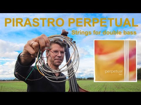 PIRASTRO PERPETUAL Double Bass Strings Review (Plus: How do they compare to Spirocore? Hear both!)