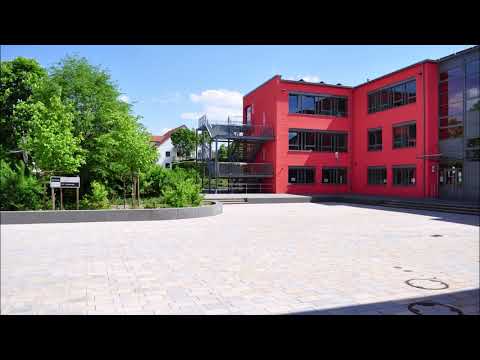 BSG Bad Nauheim Schulpodcast Folge #2 mit Felix Römer