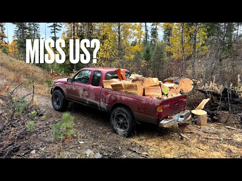 Firewood cutting fall 2025 