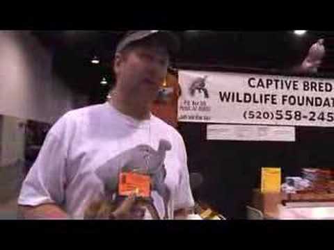 YouTube Video C3_NcNQzhcI