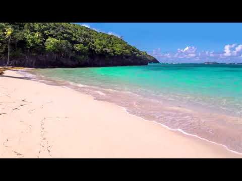 Softest Beach Sounds from the Tropics | Ocean Wave Sounds for Sleeping, Yoga, Meditation, Study