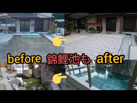 bassin-poisson-rouge-carpe-koi-entoure-plantes-exotiques