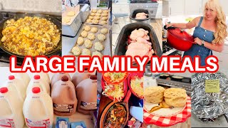 FEEDING a LARGE FAMILY 24 to 30 BUDGET MEALS a DAY (+ doing all the things week! 💃)