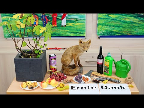 Sonntagschule - Der unfruchtbare Feigenbaum (#Kinderstunde #Kinderkirche #Kindergottesdienst)