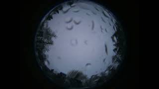 2026-01-29 All sky camera capture from Poiana Rusca Mountains, Romania
