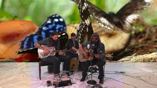 Angie Aparo - Green Into Gold