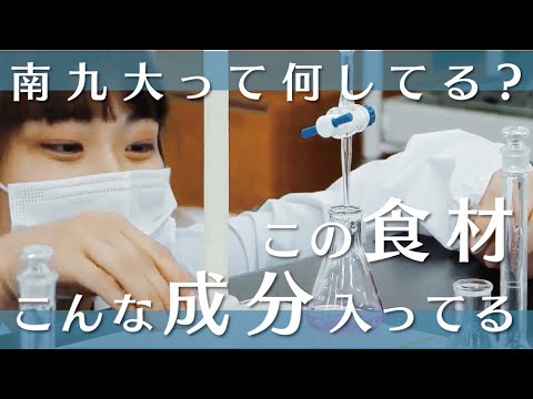 【授業のぞき見！】自分の目で食品を知る【からだと栄養実験】
