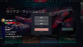 VALORANT おひさヴァロ
