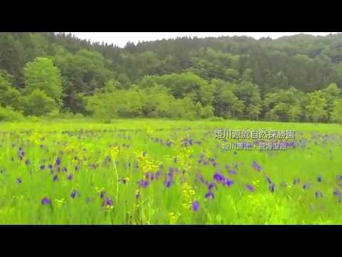 白馬村公式ムービー　【姫川源流自然探勝園_初夏】