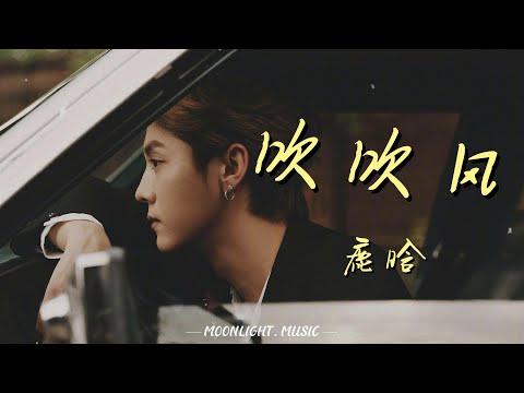 吹吹风 - 鹿晗『想带你落日黄昏后吹吹风 想陪你浪漫星空下做做梦』【动态歌词】#流行歌曲#新歌更新