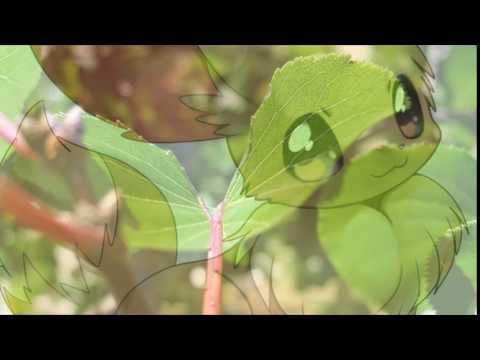 and here we see another very cringe worthy vid that freaking sucks lel