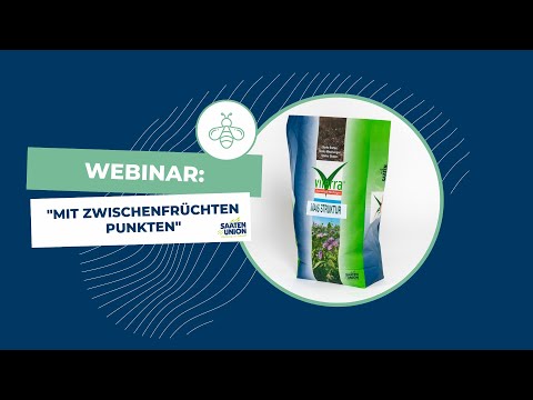 Zwischenfrüchte: Funktionen, Fruchtfolge & Stickstoffmanagement | myAGRAR und Saaten Union