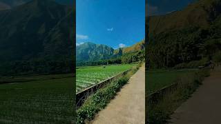 Download lagu Seperti yang dulu - Ungu #ungu #sepertiyangdulu #shorts #katabijak #sawah mp3 Download lagu Seperti yang dulu - Ungu #ungu #sepertiyangdulu #shorts #katabijak #sawah mp3