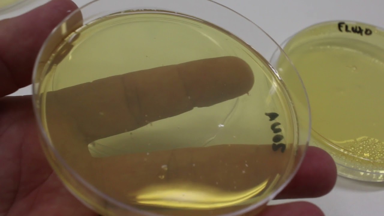 Aula Pratica 1 -  RESULTADO - Material e técnicas utilizadas no laboratório de Microbiologia
