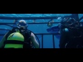47 Meters Down Trailer #1 2017   Movieclips Trailers