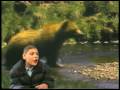Animal ABC S