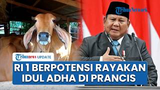 Kunjungan Kerja ke Luar Negeri Berlanjut, Presiden Prabowo Diperkirakan Rayakan Idul Adha di Prancis