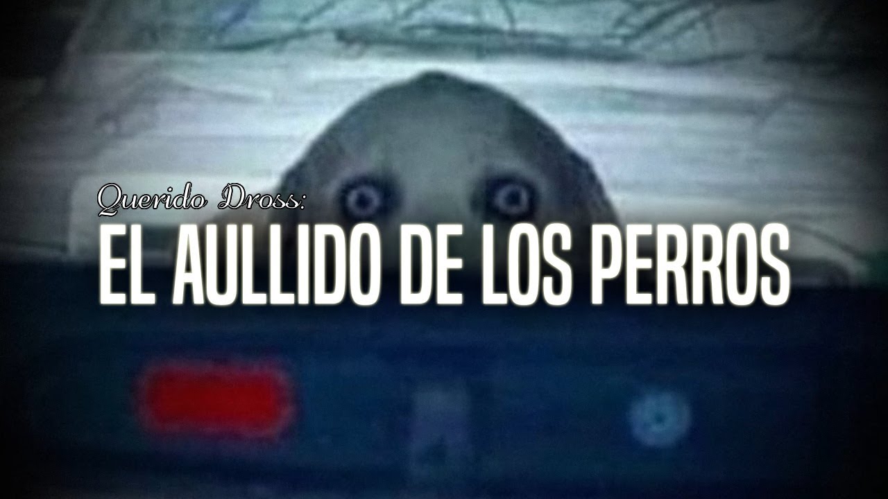 Querido Dross: El aullido de los perros