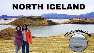 The Wonders of Iceland's Ring Road - Akureyri Whale Watching - Iceland Vlog