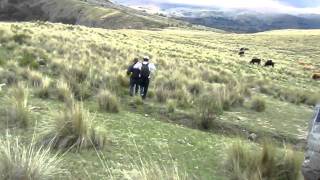 preview picture of video 'Ayacucho 2011: Caminando por las alturas'