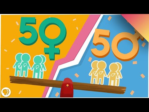 Why Are There As Many Males As Females?