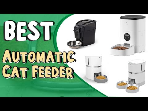 Top 5 Best Automatic Cat Feeder _  Automatic Cat Feeder Wet Food _ Automatic Cat Feeder With Camera