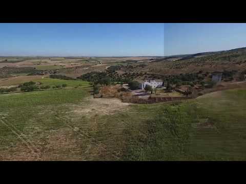 Un cortijo para reformar con 6 has. de secano a 40’ de Sevilla