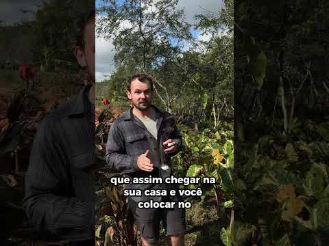 V&iacute;deo 7