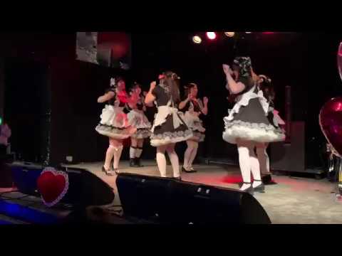 04 - Inu Neko. Seishun Massakari いぬねこ。青春真っ盛り (The World Standard) - ACT102