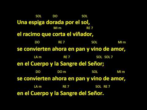 CANTOS PARA MISA - UNA ESPIGA DORADA POR EL SOL - COMUNION - ACORDES Y LETRA