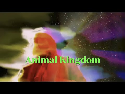 Boxguts X Hobs StayBusy - Animal Kingdom promo video