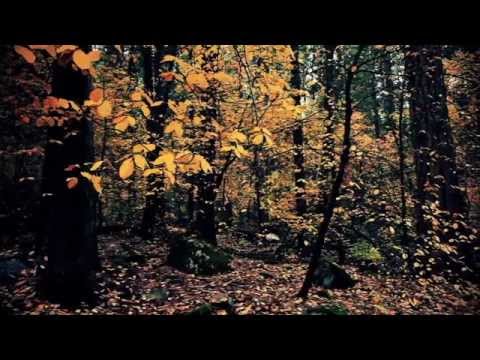 Banda Confissão / Quem é como tu?