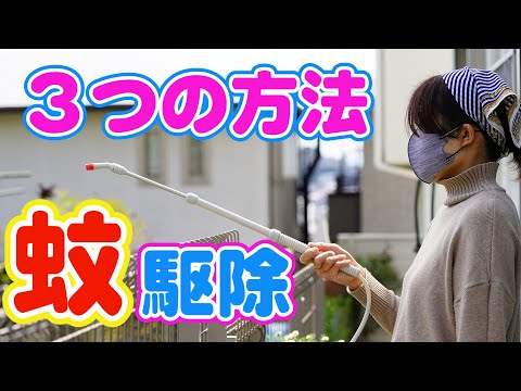 庭での蚊の繁殖を防ぎます。雨水収集装置が付属しています。  庭園