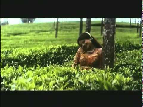 Poster aage pyar peechhe pyar