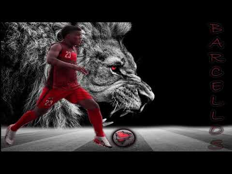 DVD GABRIEL BARCELLOS 2002