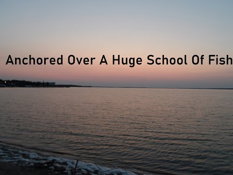 Anchored Over A Huge School Of Fish